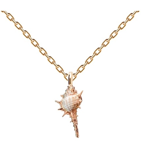 Collier coquillage marin