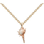 Collier coquillage marin