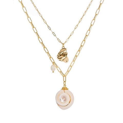 collier coquillage fossile