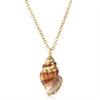 collier de coquillage pas cher