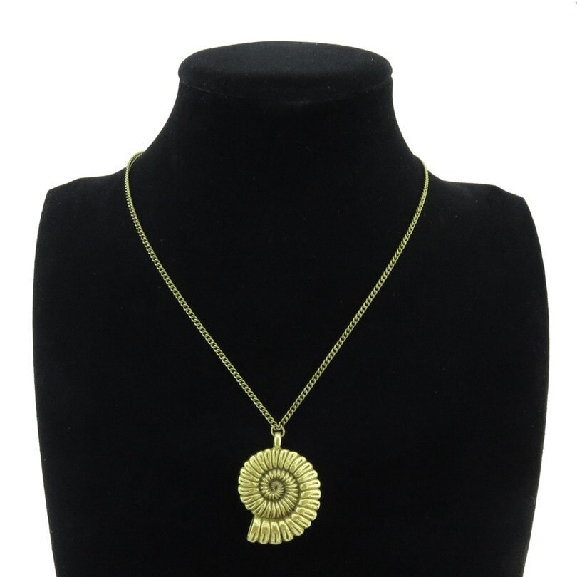 Collier fossile coquillage