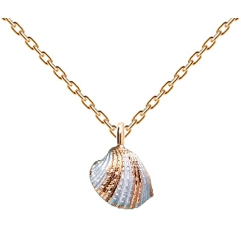 Collier palourde