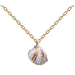 Collier palourde