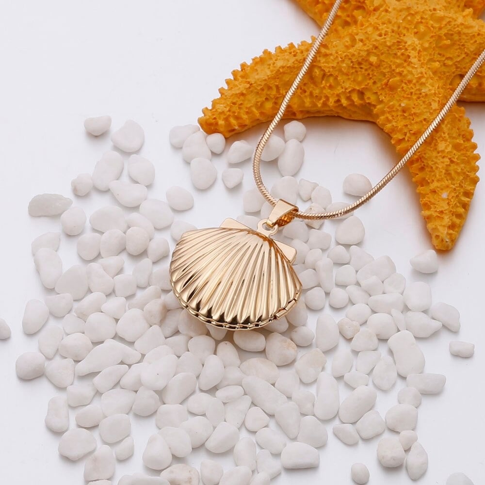 Coquille bijou
