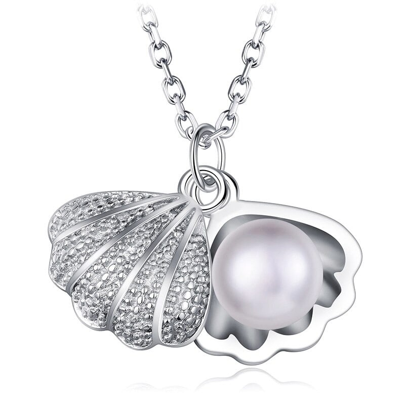 Pendentif Coquillage Authentique En Argent Massif 925 – Bijou Naturel Et Unique
