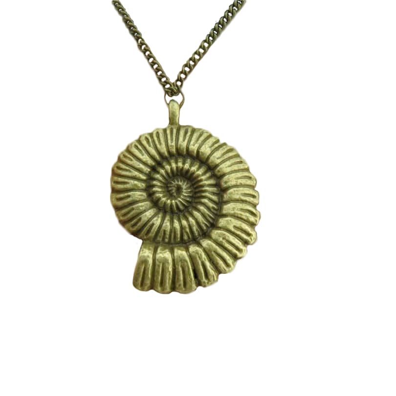 Collier coquillage fossilisé