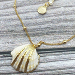 Collier coquille st jacques